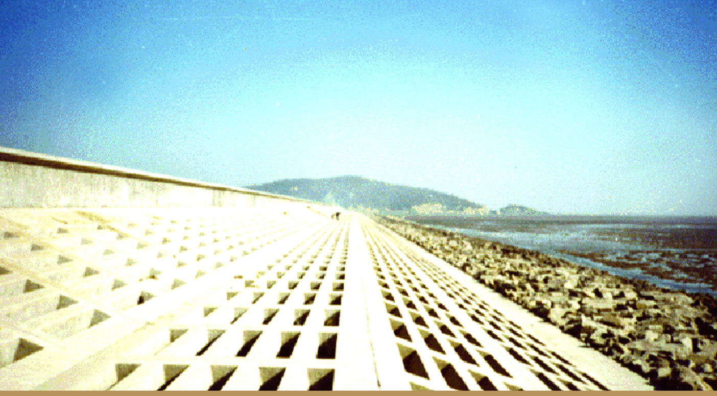 臺州發電廠六號灰庫灰壩工程